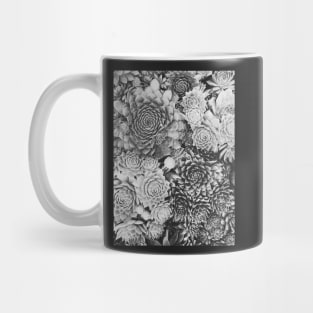 Succulent Plant Overhead Black and White Background Mug